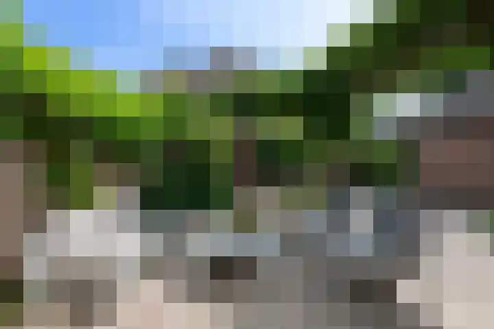 Kroonkruid 167 Nieuwerkerk aan den IJssel thumbnail 22