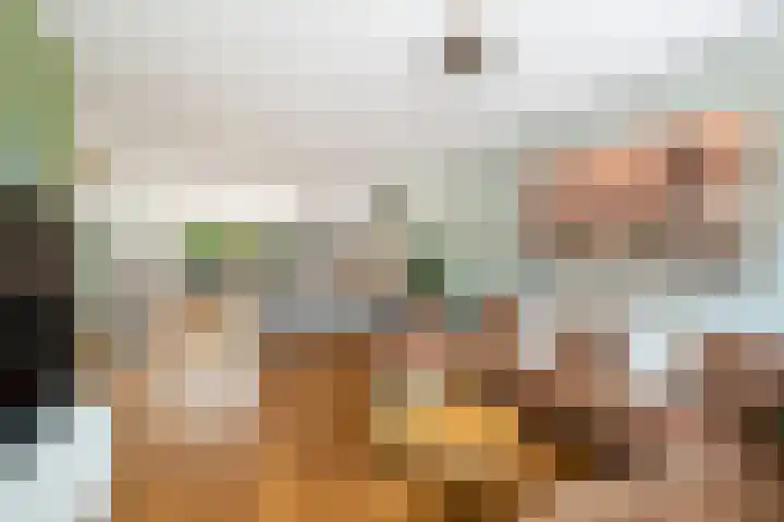 Kroonkruid 167 Nieuwerkerk aan den IJssel thumbnail 4
