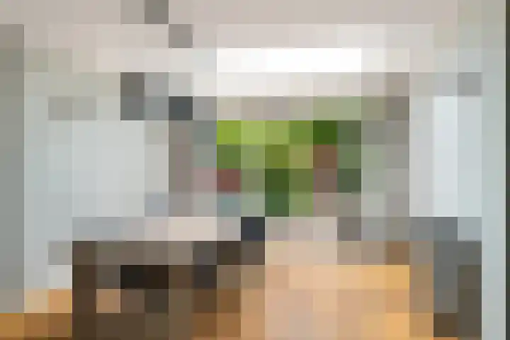 Kroonkruid 167 Nieuwerkerk aan den IJssel thumbnail 7