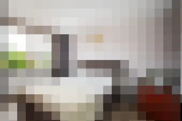 Kroonkruid 22 Nieuwerkerk aan den IJssel thumbnail 10
