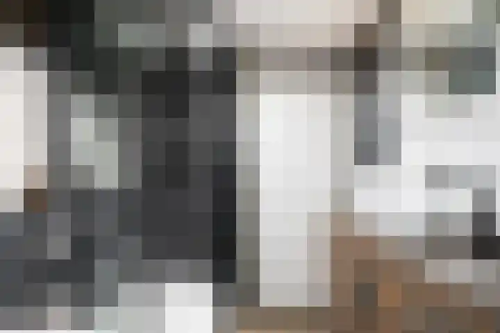 Kroonkruid 22 Nieuwerkerk aan den IJssel thumbnail 14