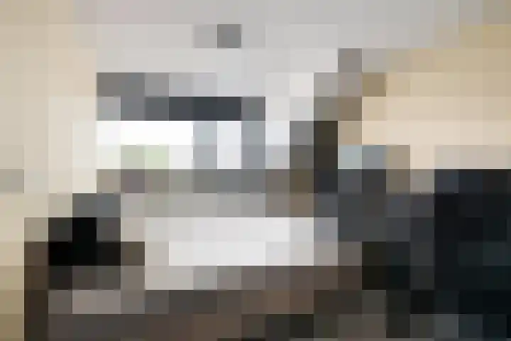 Kroonkruid 22 Nieuwerkerk aan den IJssel thumbnail 15