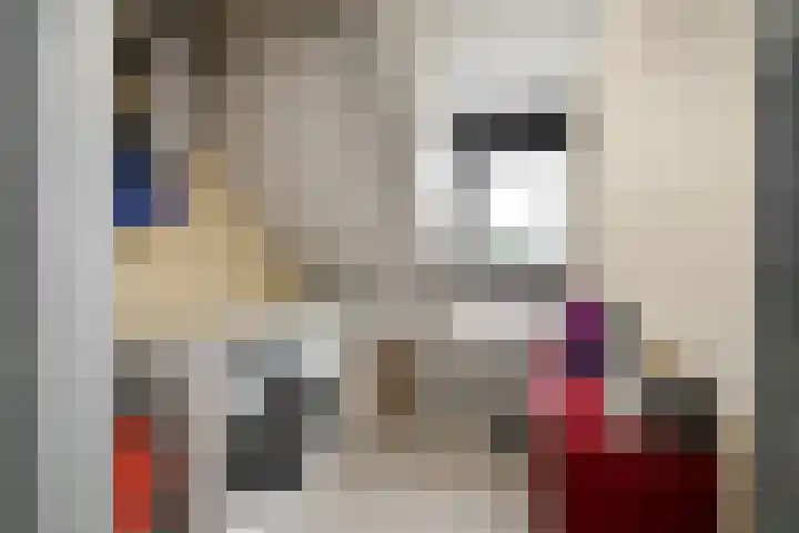 Kroonkruid 22 Nieuwerkerk aan den IJssel thumbnail 16