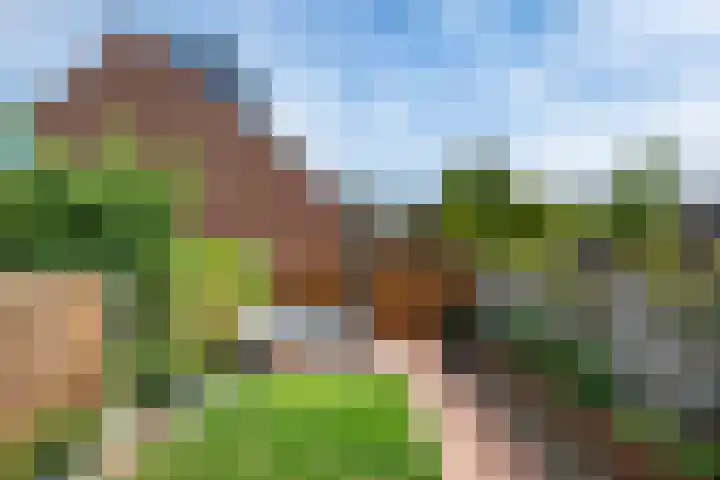 Kroonkruid 22 Nieuwerkerk aan den IJssel thumbnail 19