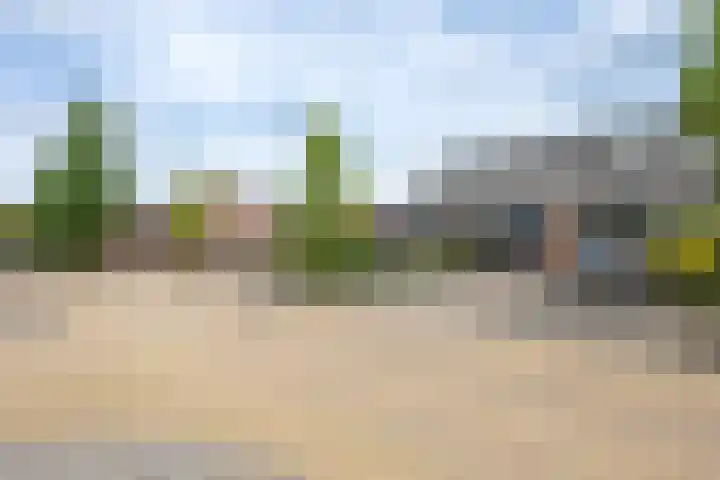 Kroonkruid 22 Nieuwerkerk aan den IJssel thumbnail 20