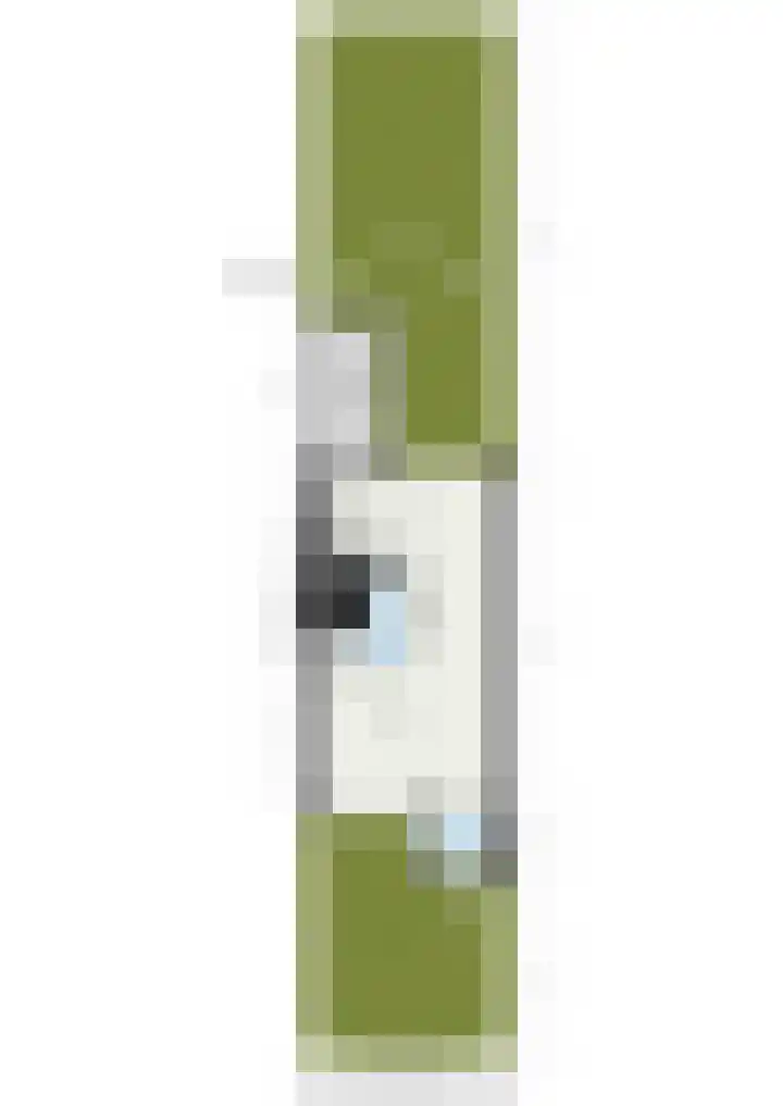 Kroonkruid 22 Nieuwerkerk aan den IJssel thumbnail 25