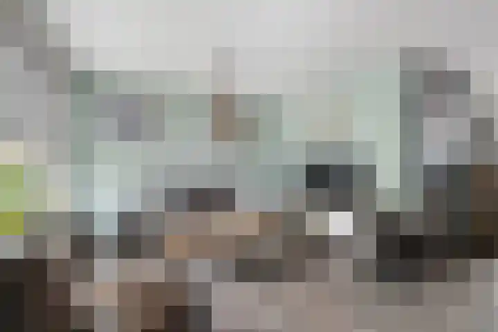Kroonkruid 22 Nieuwerkerk aan den IJssel thumbnail 4