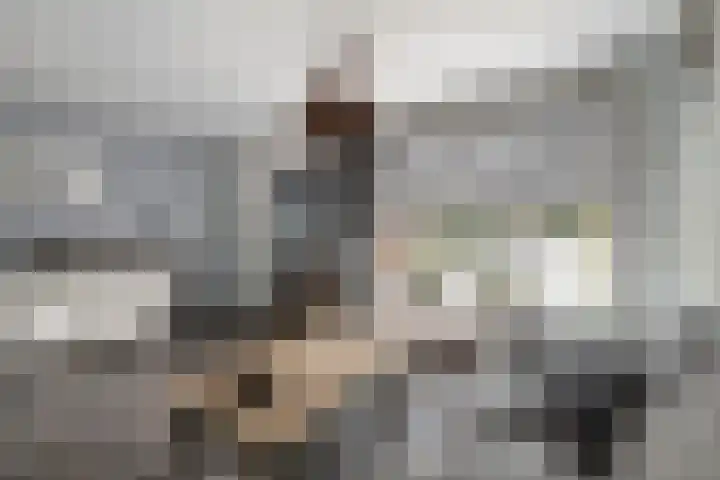 Kroonkruid 22 Nieuwerkerk aan den IJssel thumbnail 5