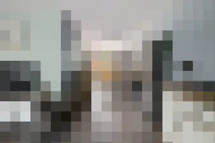 Kroonkruid 22 Nieuwerkerk aan den IJssel thumbnail 6