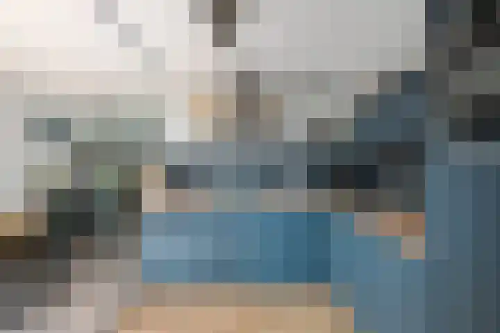 Kroonkruid 22 Nieuwerkerk aan den IJssel thumbnail 8
