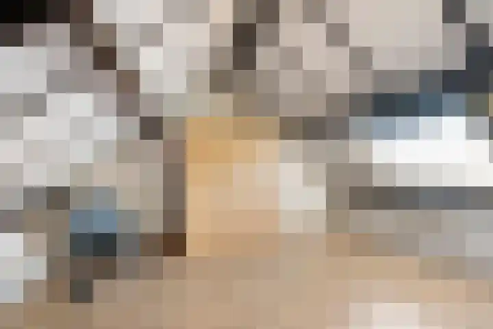 Kroonkruid 25 Nieuwerkerk aan den IJssel thumbnail 17