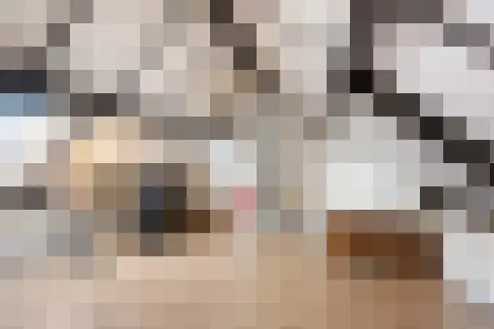 Kroonkruid 25 Nieuwerkerk aan den IJssel thumbnail 18