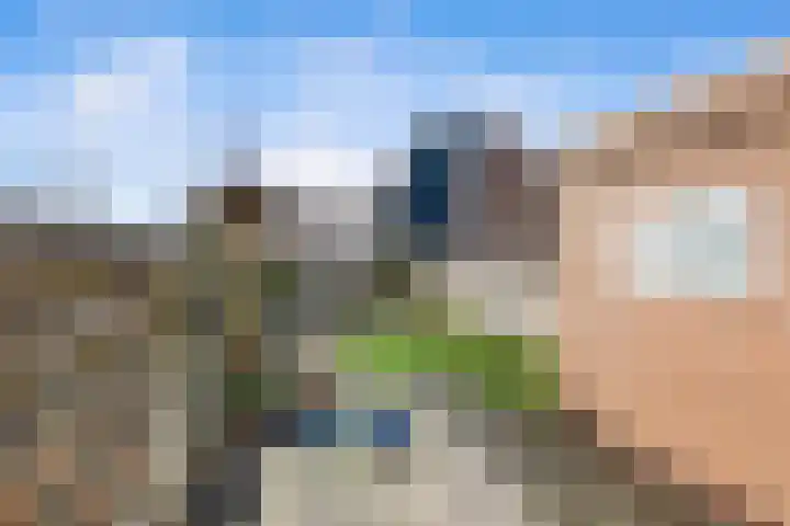 Kroonkruid 25 Nieuwerkerk aan den IJssel thumbnail 20