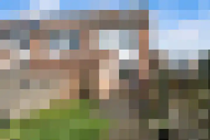 Kroonkruid 25 Nieuwerkerk aan den IJssel thumbnail 21