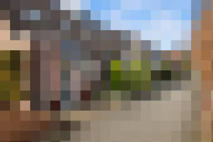 Kroonkruid 25 Nieuwerkerk aan den IJssel thumbnail 22