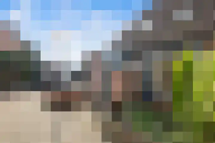 Kroonkruid 25 Nieuwerkerk aan den IJssel thumbnail 23