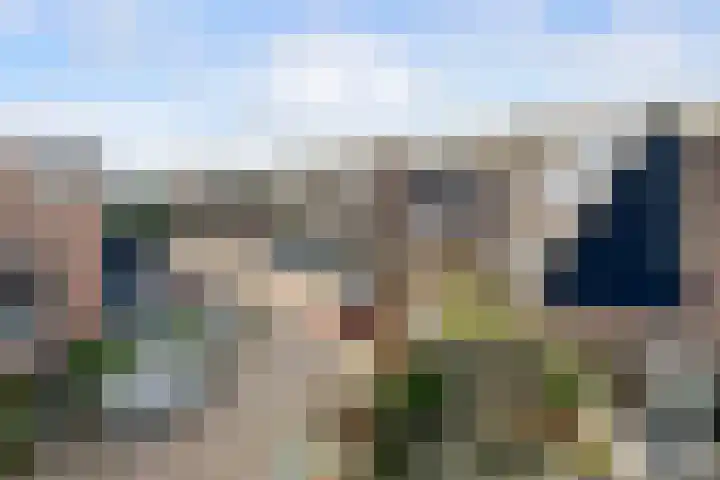 Kroonkruid 25 Nieuwerkerk aan den IJssel thumbnail 24
