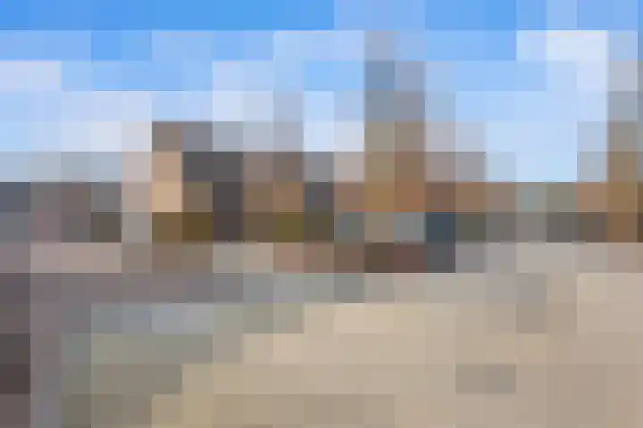 Kroonkruid 25 Nieuwerkerk aan den IJssel thumbnail 25