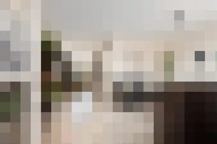 Kroonkruid 25 Nieuwerkerk aan den IJssel thumbnail 4