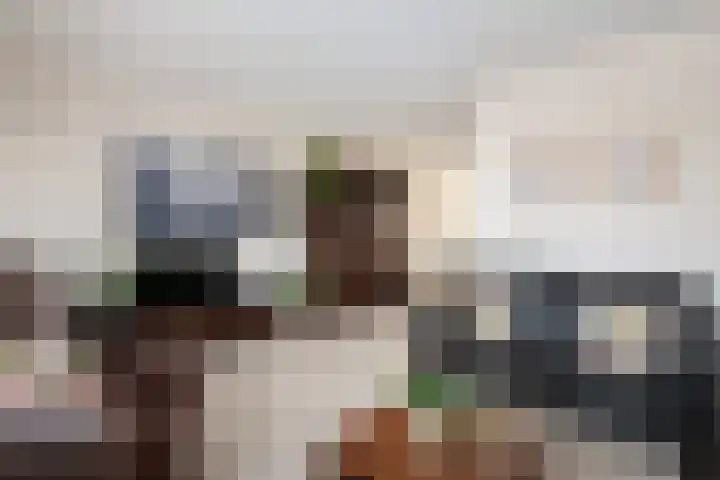 Kroonkruid 25 Nieuwerkerk aan den IJssel thumbnail 5