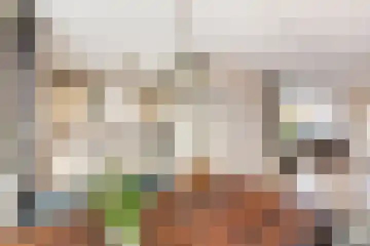 Kroonkruid 25 Nieuwerkerk aan den IJssel thumbnail 8