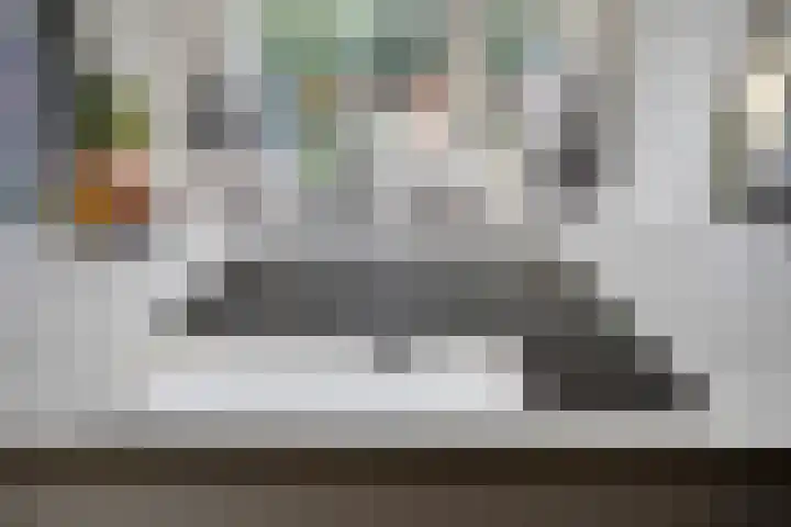 Kroonkruid 56 Venray thumbnail 11