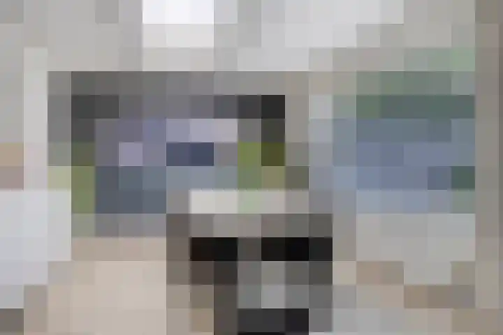 Kroonkruid 56 Venray thumbnail 12