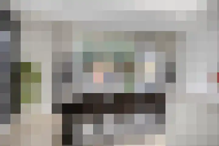 Kroonkruid 56 Venray thumbnail 13