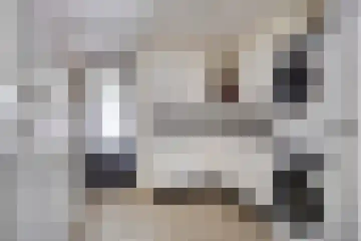 Kroonkruid 56 Venray thumbnail 15