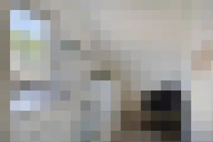 Kroonkruid 56 Venray thumbnail 19