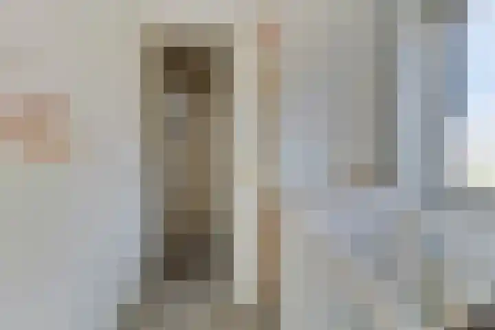 Kroonkruid 56 Venray thumbnail 20
