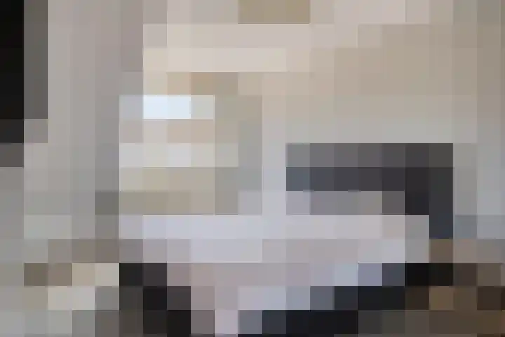 Kroonkruid 56 Venray thumbnail 21