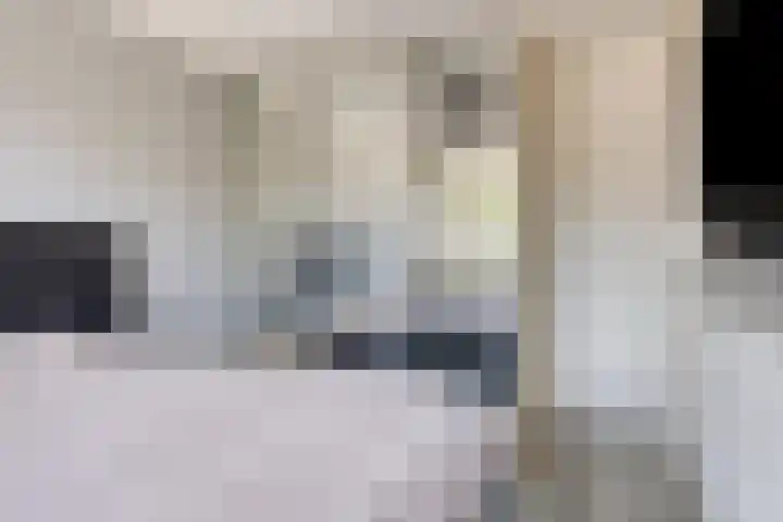 Kroonkruid 56 Venray thumbnail 22