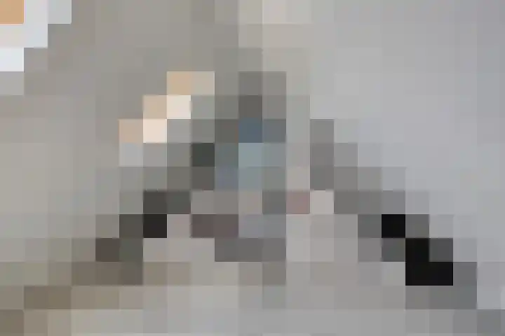 Kroonkruid 56 Venray thumbnail 27