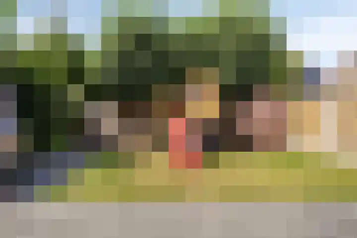 Kroonkruid 56 Venray thumbnail 28