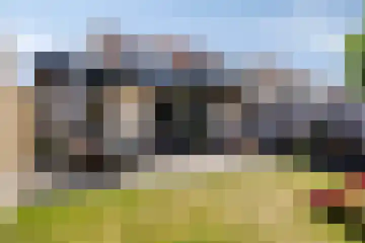 Kroonkruid 56 Venray thumbnail 30