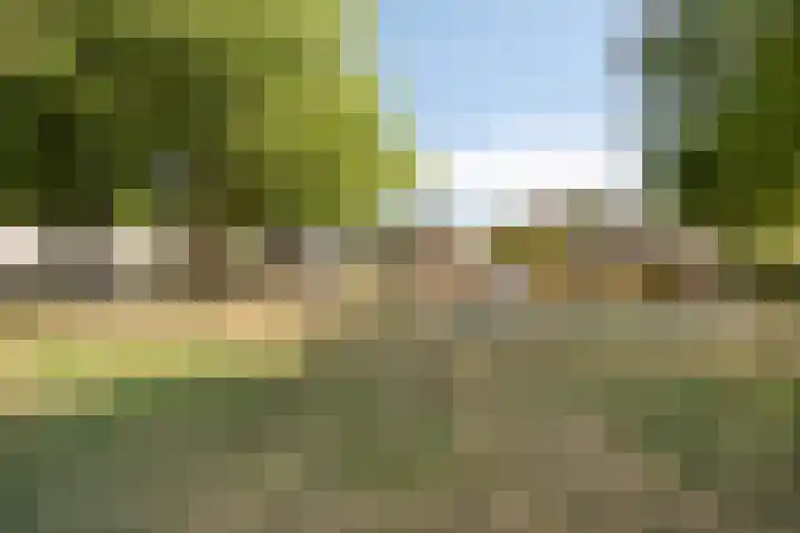 Kroonkruid 56 Venray thumbnail 34
