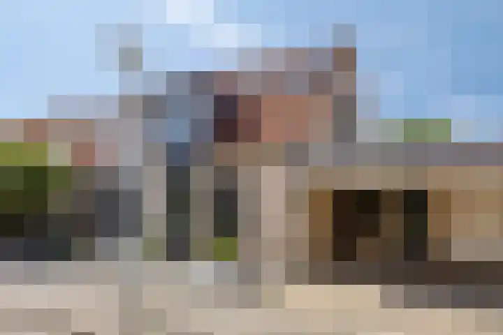 Kroonkruid 56 Venray thumbnail 38