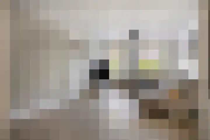 Kroonkruid 56 Venray thumbnail 4