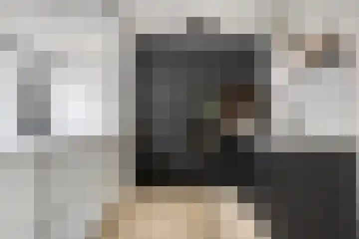 Kroonkruid 56 Venray thumbnail 8
