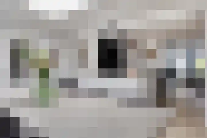 Kroonkruid 56 Venray thumbnail 9