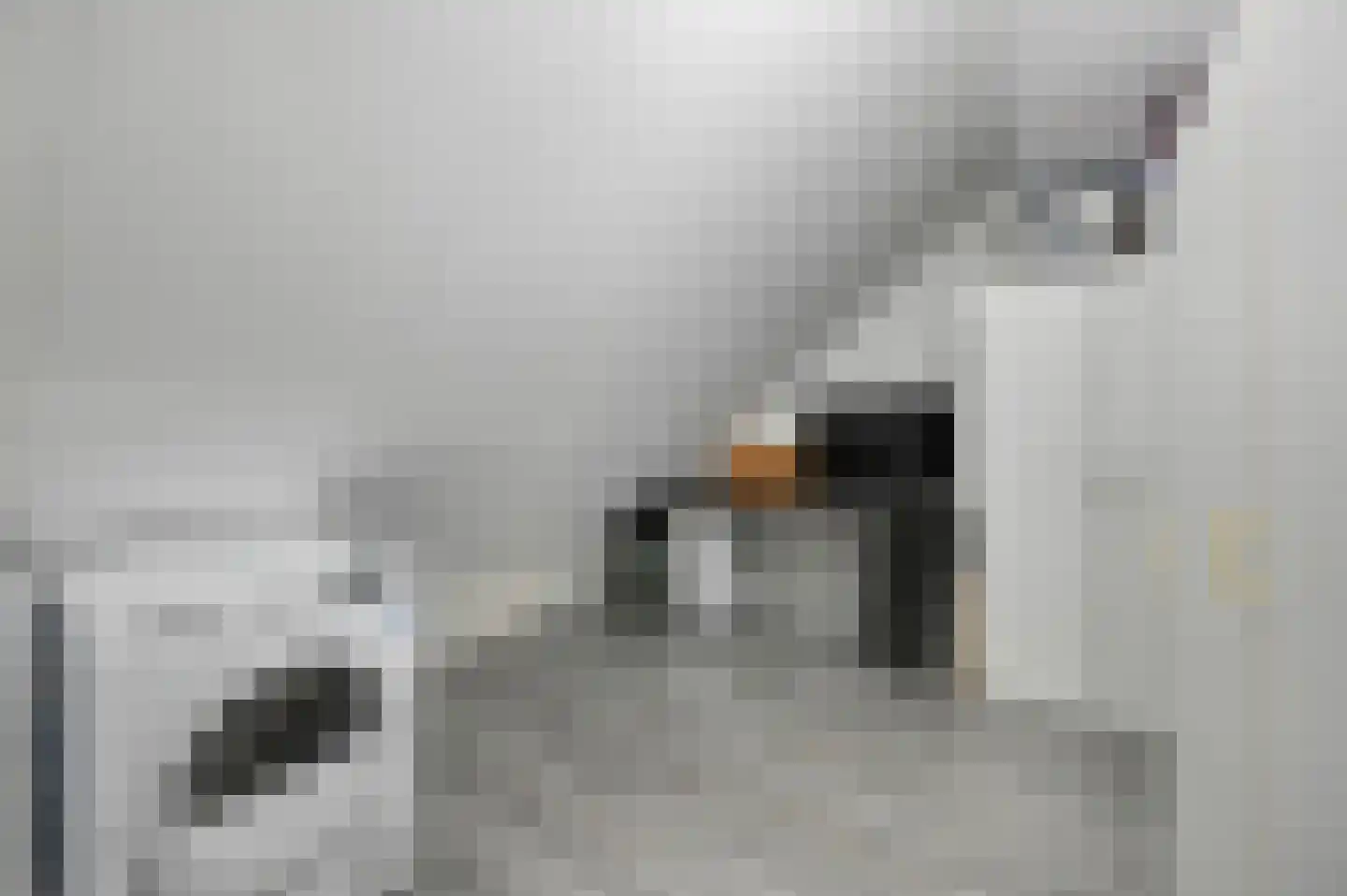 Kroonkruid 68 Nieuwerkerk aan den IJssel thumbnail 32