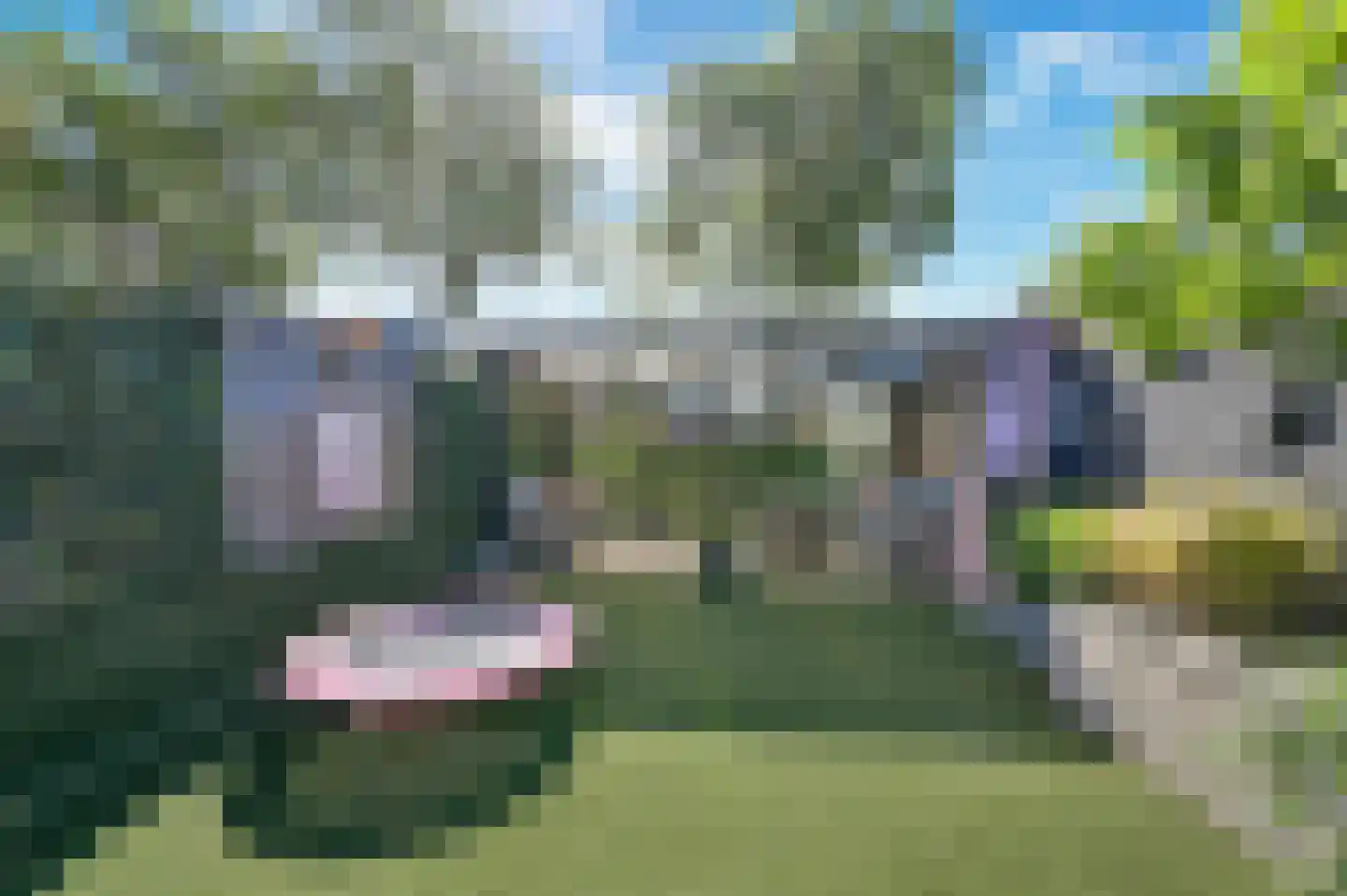 Kroonkruid 68 Nieuwerkerk aan den IJssel thumbnail 36