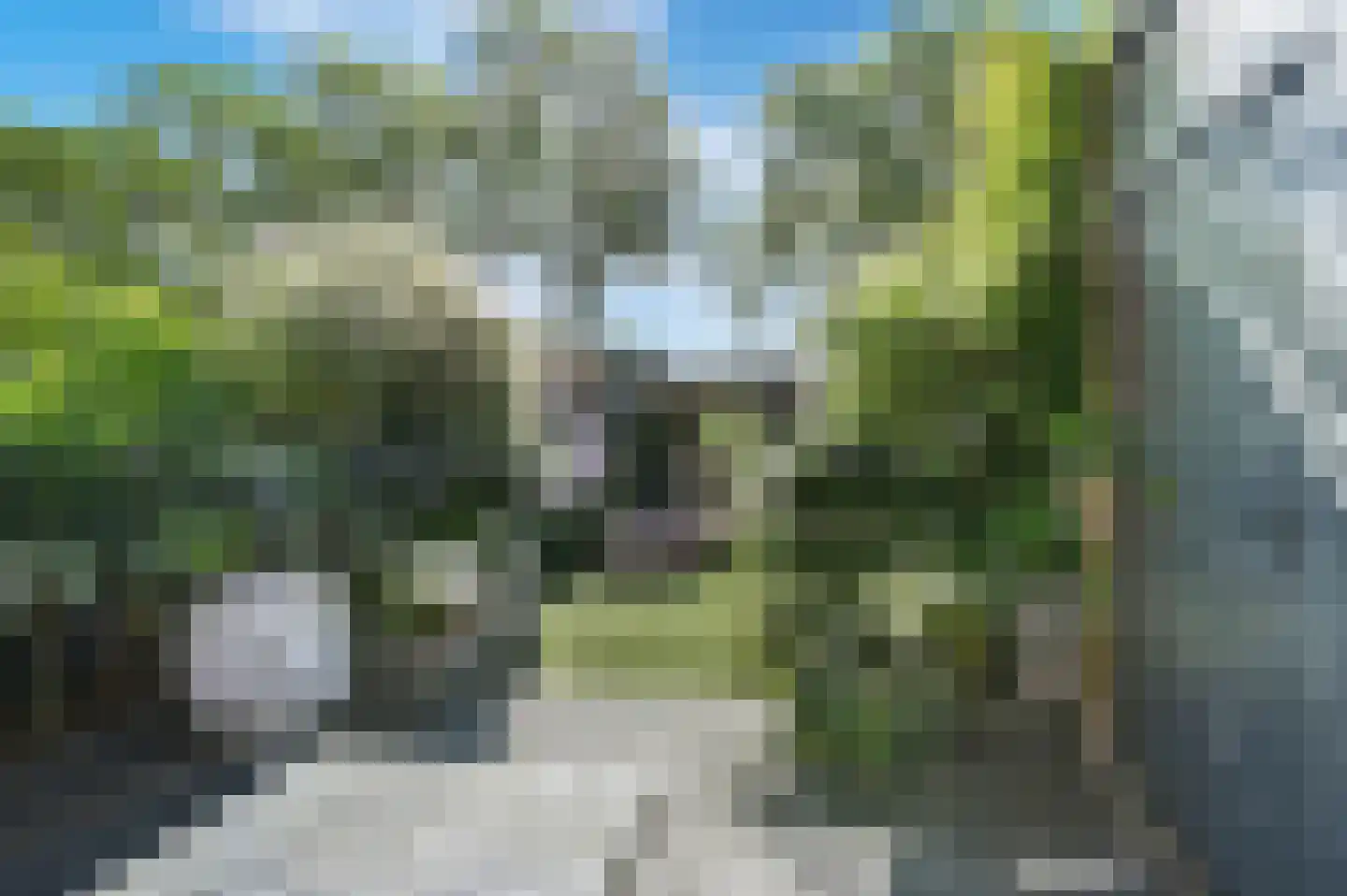 Kroonkruid 68 Nieuwerkerk aan den IJssel thumbnail 37