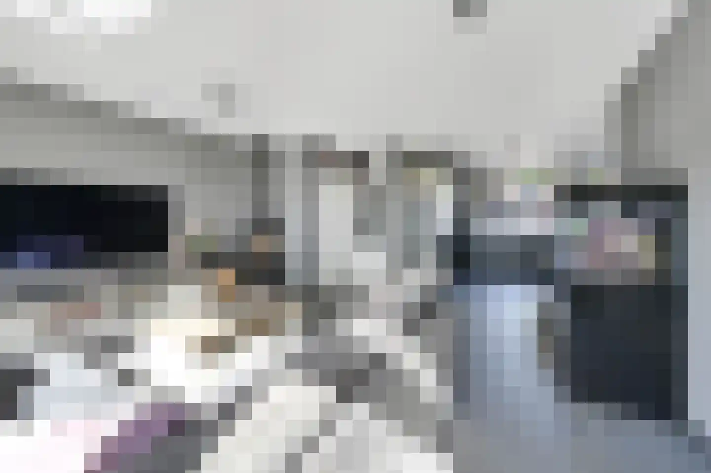 Kroonkruid 68 Nieuwerkerk aan den IJssel thumbnail 8