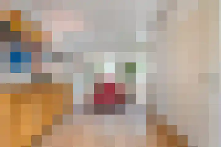 Kroonkruid 75 Venray thumbnail 10