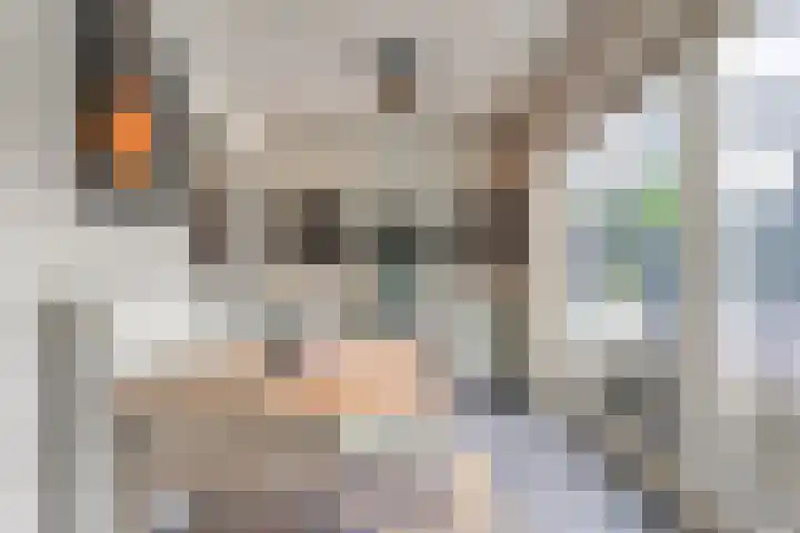 Kroonkruid 75 Venray thumbnail 16