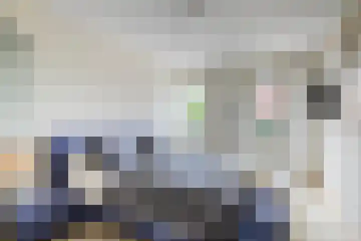 Kroonkruid 75 Venray thumbnail 20