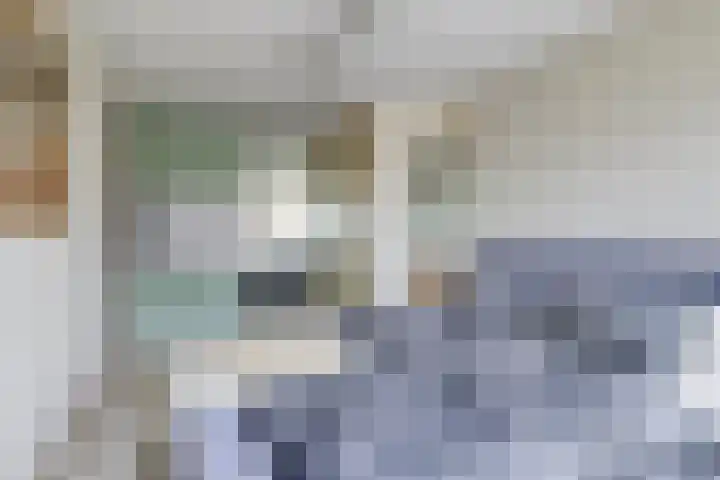 Kroonkruid 75 Venray thumbnail 21