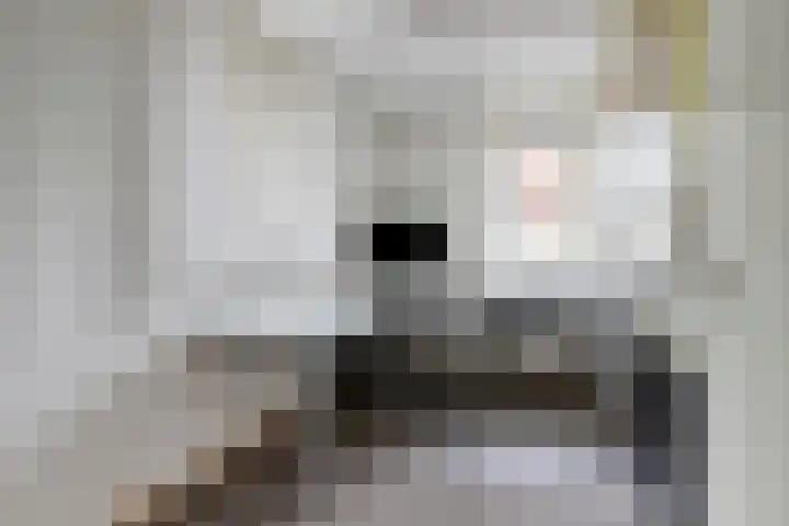 Kroonkruid 75 Venray thumbnail 22
